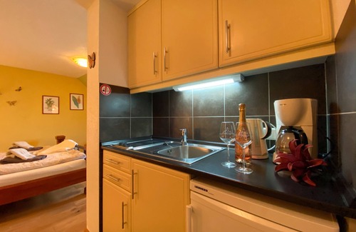 Cochem Apartamento | Estudio-Dornfelder-Vista al rio-Baño en la habitacion