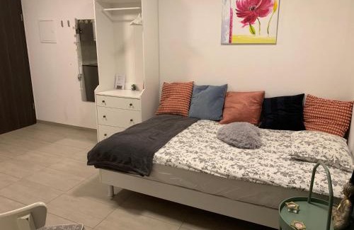 Lausanne Apartamento | Studio Doux rayon