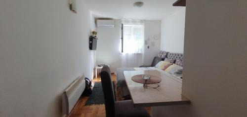 Vrnjacka Banja Apartamento | Studio Dunja