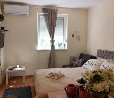 Vrnjacka Banja Apartamento | Studio Dunja