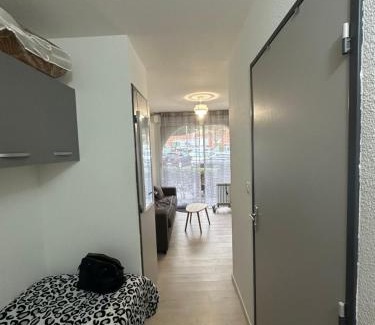 Lamalou-les-Bains Apartamento | Studio en RDC, climatisé