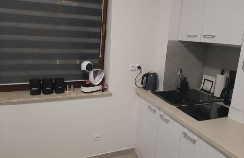 Rybnik Apartamento | Studio Fibra Choco
