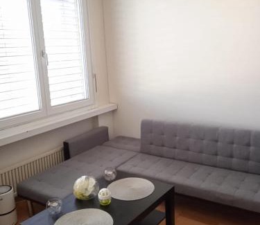 Zug Apartamento | Studio flat in the heart of Zug, ideal for solo travellers
