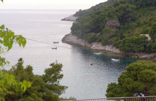 Saplunara Apartamento | Apartamento-estudio con terraza y vista al mar Bahía Saplunara, Mljet (AS-12849-a)