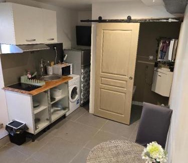 Le Fief-Sauvin Apartamento | Studio