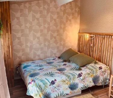 Lacanau-Ocean Apartamento | Studio Gliss'in