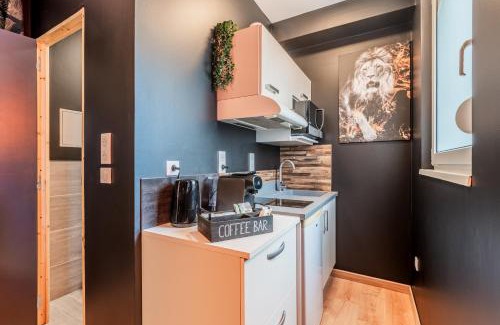 Drusenheim Apartamento | "STUDIO GOLD" Proche Gare - Netflix - Wifi - Cuisine