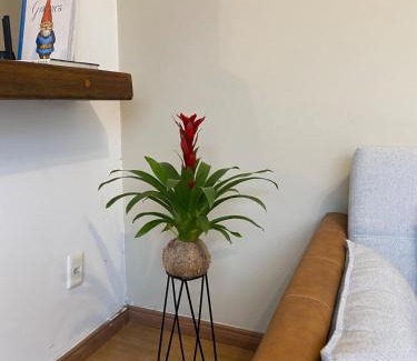 Caicaras Casa | Studio-House with Tropical Garden