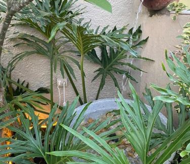 Caicaras Casa | Studio-House with Tropical Garden