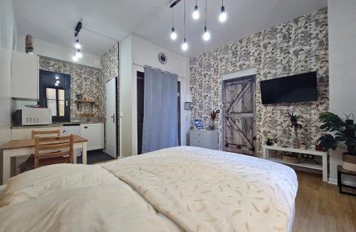 Aix-les-Bains City Center Apartamento | Studio hypercentre 2 étoiles