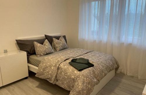 Raterschen Apartamento | Studio in neuem EFH (2023)