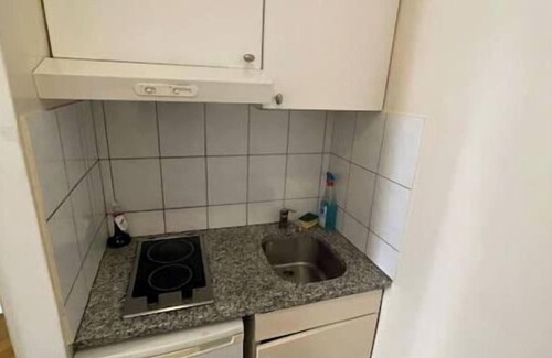 Geneva Apartamento | Studio in the heart of Geneva