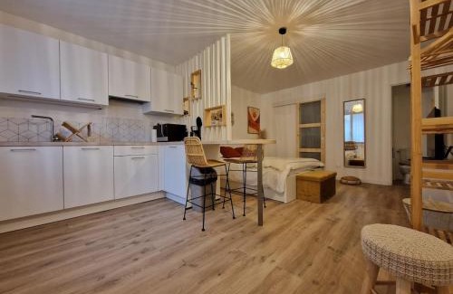 Saint-Fons Apartamento | Studio Intime & Chaleureux - Terrasse privative - Lyon Sud