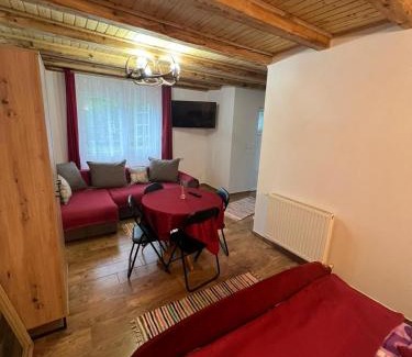 Rasnov Apartamento | Studio Ioana 2