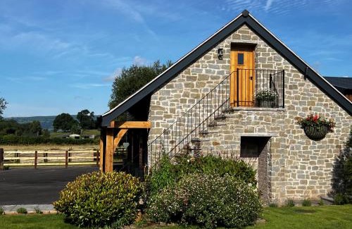 Bettws Newydd Apartamento | Studio-King Bed-Wye Valley Views
