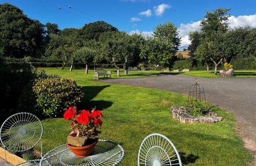 Bettws Newydd Apartamento | Studio-King Bed-Wye Valley Views