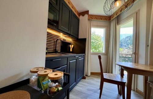 Duingt Apartamento | Studio La Baie des Voiles vue lac et montagne