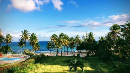 Pointe de la verdure Apartamento | Studio Les pieds dans l'eau Résidence Archipel et Savanne