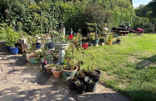 Cleedownton Apartamento | Studio Lickey Hills Near Attractions Garden Pet Ok