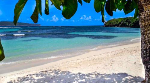Las Galeras Apartamento | Studio Lotte - Ocean Front