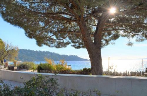 Cavaliere Beach Apartamento | Studio lumineux 4 couchages près de la plage avec options linge et Wifi - FR-1-251-433