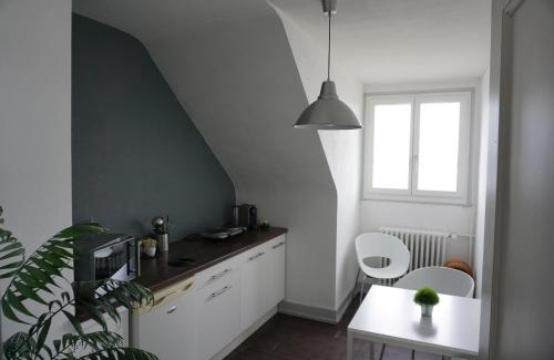 Neuchatel Apartamento | Studio Maujobia 31