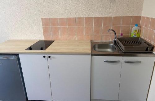 Jean Moulin - Marius Berliet Apartamento | Studio meublé à Lyon Centre