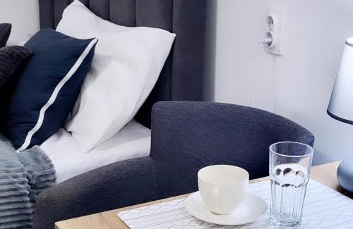 Vrnjacka Banja Apartamento | Studio Milica