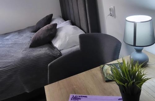 Vrnjacka Banja Apartamento | Studio Milica