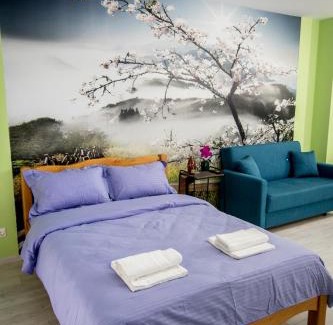 Drumul Taberei Apartamento | Studio Moghioros Park