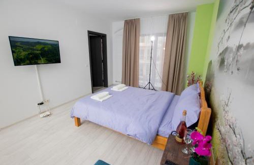 Drumul Taberei Apartamento | Studio Moghioros Park
