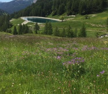 Allos Apartamento | Studio montagne