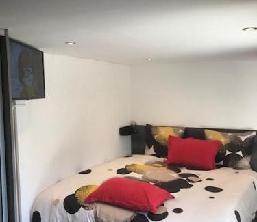 Meyzieu Apartamento | Studio Moovy Proche Stade Groupama, LCLD ARENA , Eurexpo Lyon