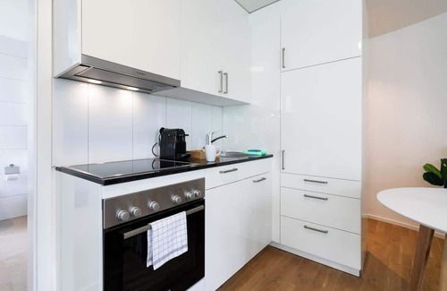 St. Gallen Apartamento | Estudio Multertor con Parking