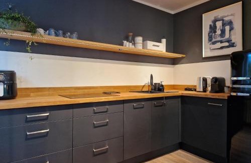 Opole Apartamento | Studio na Wyspie Pasieka