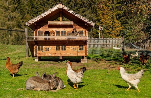 Forstau Casa | Studio Nussbaum, 2 bedrooms - Familienhotel Unterreith