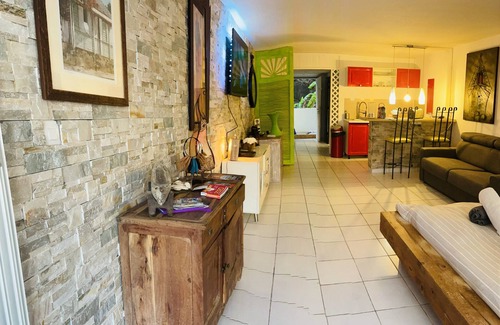 Cul de Sac Apartamento | Studio Orchidée 5m from the most beautiful beach of Saint Martin