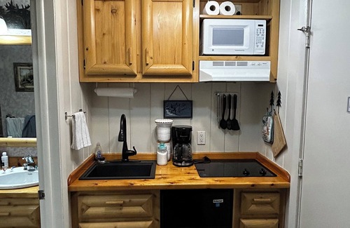 Bellaire Condominio | Studio pet friendly condo free pool pass Bellaire Shanty Creek Summit Village