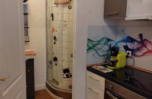 Auch Apartamento | Studio plein centre