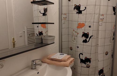 Auch Apartamento | Studio plein centre