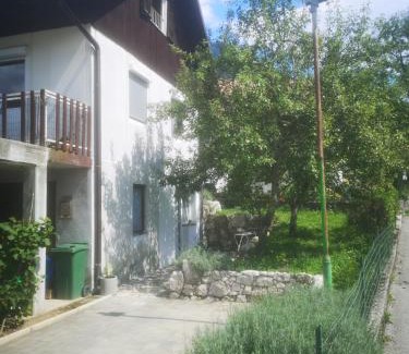 Kobarid Apartamento | Studio Pod hruško