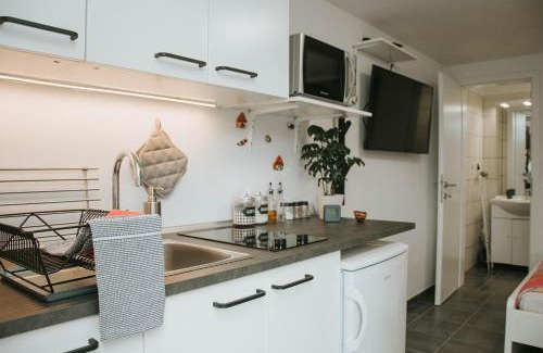 Kobarid Apartamento | Studio Pod hruško