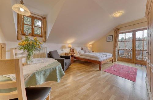 Spiegelau Apartamento | Studio Predigtstuhl