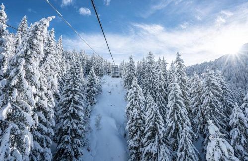La Rosiere Apartamento | Studio rénové 2* pour 4 pers., skis aux pieds, balcon exposé sud-ouest, proche commerces et garderie - FR-1-398-528