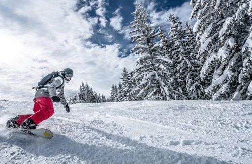 La Rosiere Apartamento | Studio rénové 2* pour 4 pers., skis aux pieds, balcon exposé sud-ouest, proche commerces et garderie - FR-1-398-528