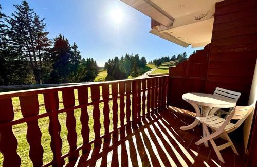 Montcel Apartamento | Studio skis aux pieds avec balcon et animaux admis - FR-1-432-89