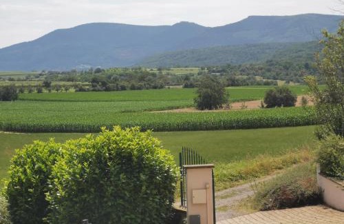 Rosheim Apartamento | Studio spacieux, route des vins