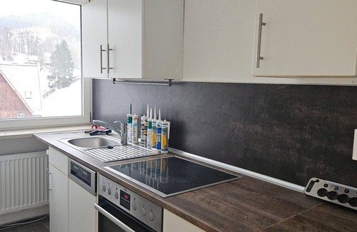 Sulzhayn Apartamento | Estudio 'Sülzhayn' con vistas a la montaña y balcón