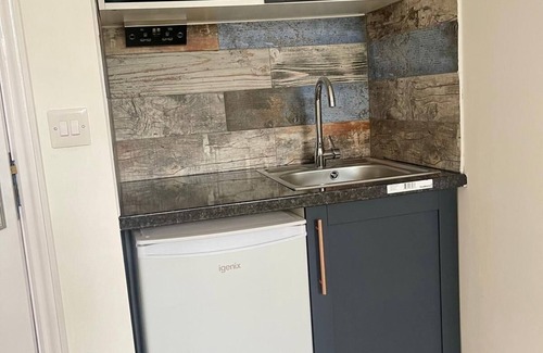 Hackney Downs Apartamento | Estudio-Superior-Baño privado con ducha-Sin vista