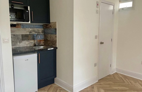 Hackney Downs Apartamento | Estudio-Superior-Baño privado con ducha-Sin vista
